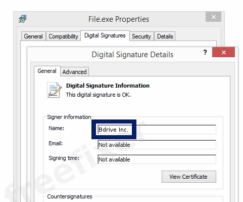Screenshot of the Bdrive Inc. certificate